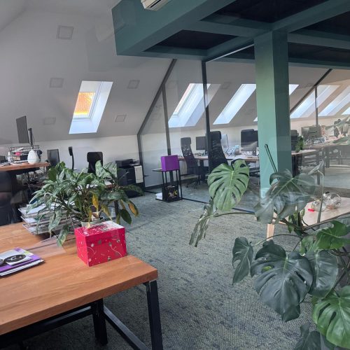 WhatsApp Image 2025 11 13 at 10.52.52